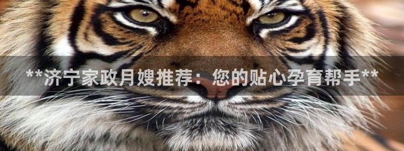 杏悦娱乐注册平台有哪些