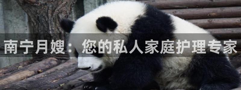 杏悦平台官网注册账号