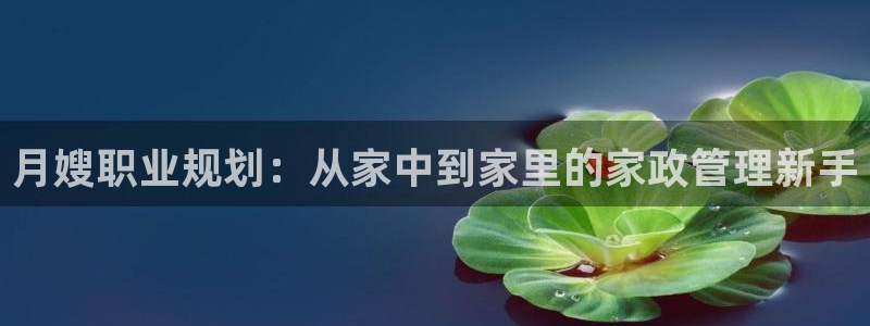 杏悦平台招商怎么样