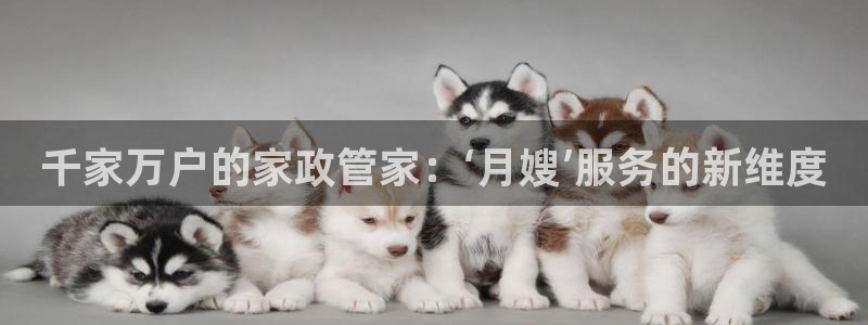 杏悦官网登录入口网址