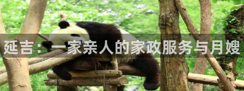 杏悦官网注册信息是什么